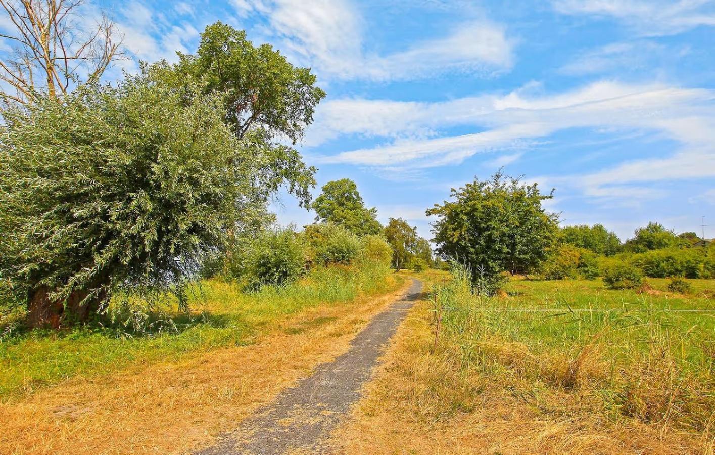 Ferienhaus Rechlin See Dış mekan fotoğraf