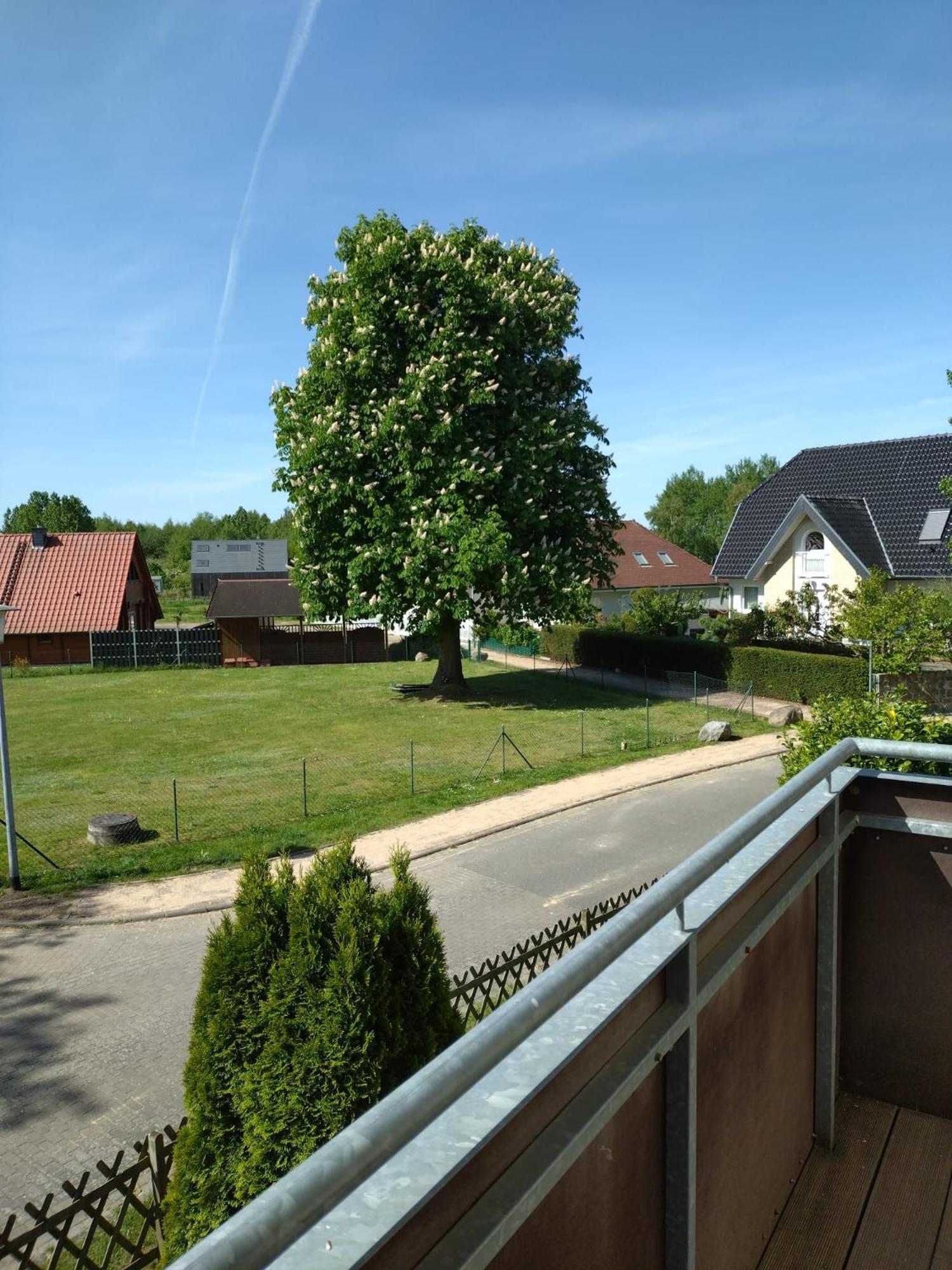 Ferienhaus Rechlin See Dış mekan fotoğraf